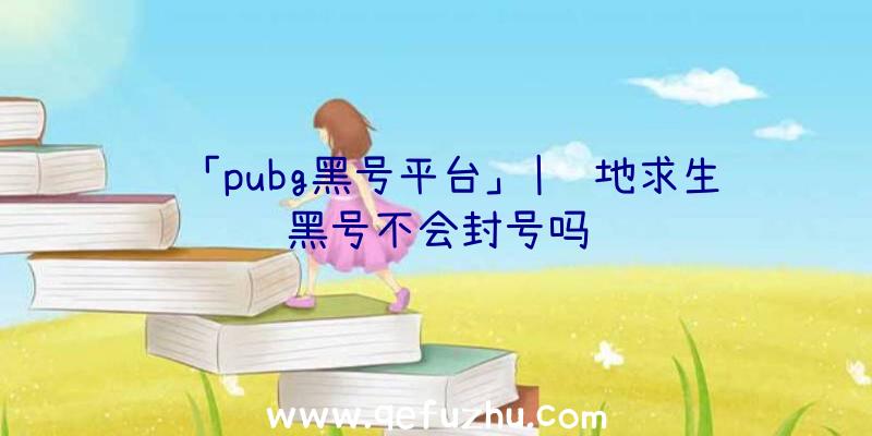 「pubg黑号平台」|绝地求生黑号不会封号吗